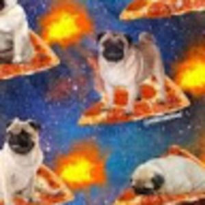 Meet your Posher, Jaden